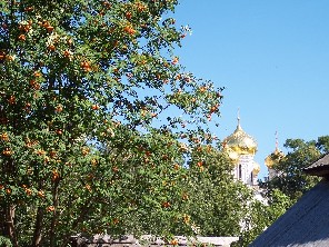 Eberesche und Klosterkuppeln in Kostroma
